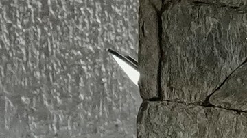 Uno de los asilados instó a la comunidad internacional a sumarse a los esfuerzos de Argentina y Brasil para obtener los salvoconductos que les permitan salir de Venezuela.