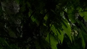 Una patrulla de la policía se encuentra estacionada frente a la embajada de Argentina, donde algunos miembros de la oposición venezolana buscaron asilo.