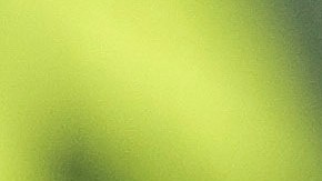 Argentina reconoció que está "avanzando" para que los seis opositores "no tengan absolutamente ningún inconveniente".