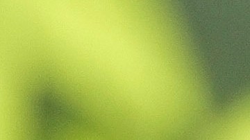 Argentina reconoció que está "avanzando" para que los seis opositores "no tengan absolutamente ningún inconveniente".