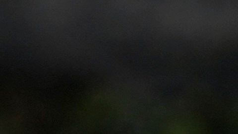 Javier Aguirre (R) y Rafa Márquez (L) comenzaron con pie derecho su ciclo en México.