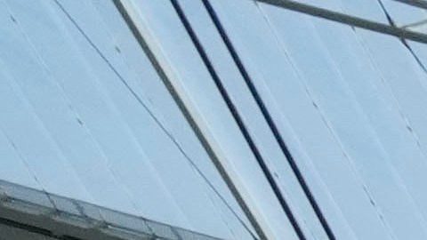 La remontada de Rams sobre 49ers quedó en segundo plano gracias a la pelea.