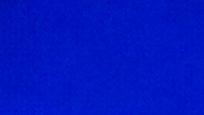 Barack Obama en convención demócrata