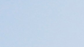 El Instituto Bruno Leoni explicó que el compromiso de Machado "en las condiciones más difíciles" motivaron a su condecoración.