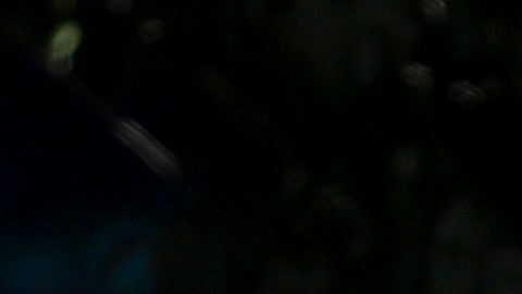 Biagio Pilieri detrás de María Corina Machado se desplazan en el techo de un vehículo durante una protesta en Venezuela.