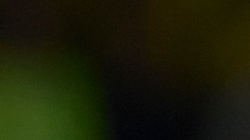 Vinícius Jr. jugador del Real Madrid.