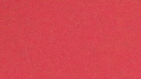 Luis de la Fuente seleccionador de España.