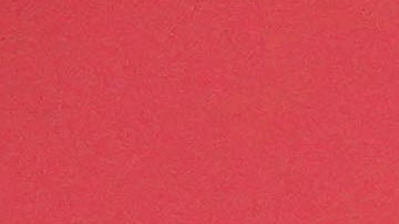 Luis de la Fuente seleccionador de España.