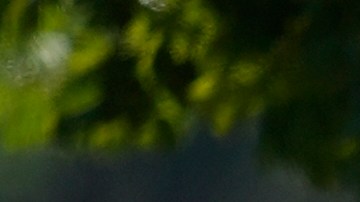 Tiroteo en secundaria de Georgia