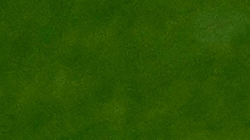 Entrenamiento de la selección de Perú.