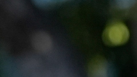 Hunter Biden busca declararse culpable para evitar juicio en caso de evasión fiscal