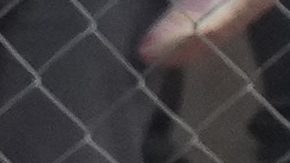 Bolivia se aprovecha de El Alto para golear 4-0 a Venezuela