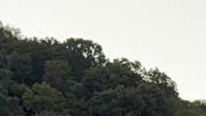 Identifican a persona de interés tras tiroteo en la interestatal en Kentucky