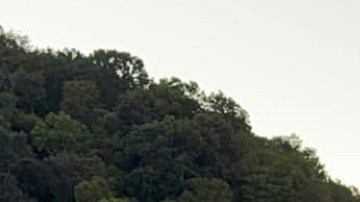 Identifican a persona de interés tras tiroteo en la interestatal en Kentucky