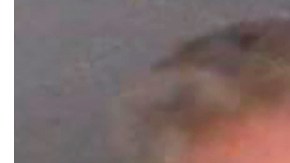 Colin y Colt Gray- tiroteo en escuela de Georgia