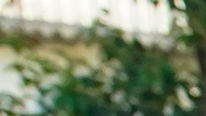 Decenas de países emiten declaración conjunta ante crisis política de Venezuela