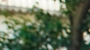 Decenas de países emiten declaración conjunta ante crisis política de Venezuela