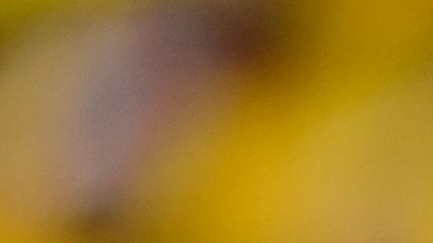 Jugadores de Argentina recriminan al árbitro principal la pena máxima que sentenció a favor de Colombia.