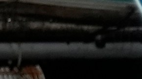 Simpatizantes de Biden