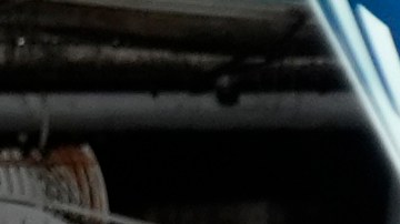 Simpatizantes de Biden