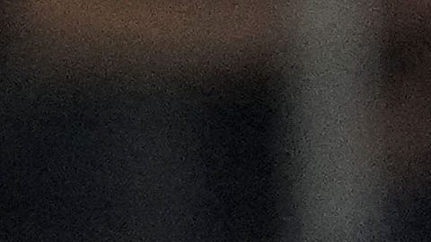 El canadiense Alphonso Davies disputa un balón con Santiago Gimenez.