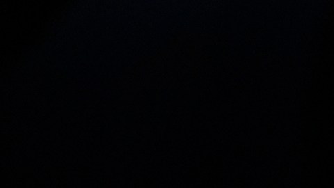 La fiscal de distrito del Bronx, Darcel Clark, denominó las supuestas acciones de Victoria como “una traición a la confianza pública”.