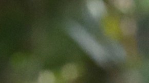 El líder opositor venezolano exiliado Edmundo González camina con el primer ministro español Pedro Sánchez afuera del Palacio de la Moncloa en Madrid.