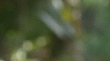 El líder opositor venezolano exiliado Edmundo González camina con el primer ministro español Pedro Sánchez afuera del Palacio de la Moncloa en Madrid.