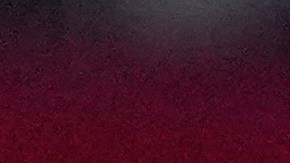 Trump le dijo al Servicio Secreto que necesitan más recursos, afirma su asesor