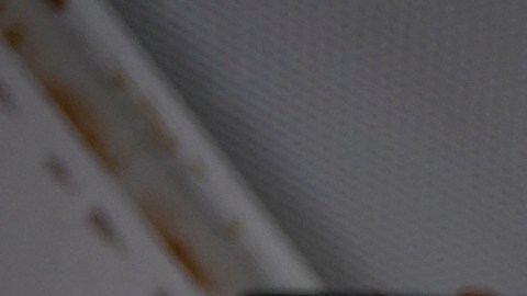 Juan Soto celebrando la clasificación a los playoffs.