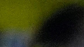 Hinchas de Fenerbahce. Imagen referencial.