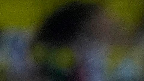 Hinchas de Fenerbahce. Imagen referencial.