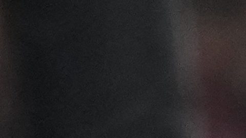 Bellingham envuelto en polémica por presunto insulto al árbitro