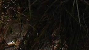 Ataques entre Israel y Hezbolá en Líbano dejan al menos tres muertos