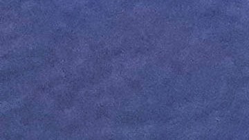 Refugiados en Tallahassee por huracán Helene Florida