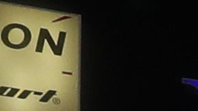 MLB: New York Yankees campeones de la División Este de la Liga Americana