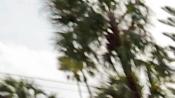 Una bandera estadounidense ondea en las aguas de las inundaciones tras el paso del huracán Helene en el vecindario de Shore Acres, Florida.