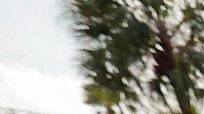 Al menos 64 muertos ha dejado el trágico paso de Helene en el sureste