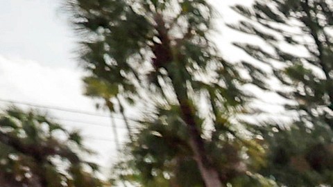 Al menos 64 muertos ha dejado el trágico paso de Helene en el sureste