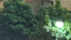 Más de 20 terroristas fueron asesinados junto a Nasrallah, de acuerdo con Israel