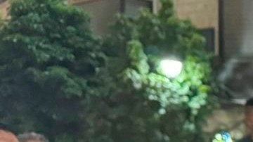 Más de 20 terroristas fueron asesinados junto a Nasrallah, de acuerdo con Israel