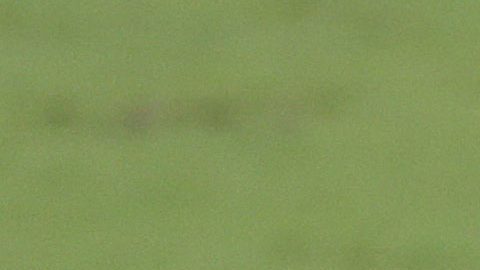 Daniel Alves y Douglas Costa en un entrenamiento de Brasil.