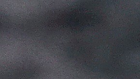 Programas de alimentos de USDA