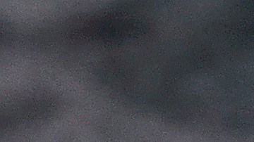 Programas de alimentos de USDA