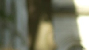 Concejal Alexa Avilés