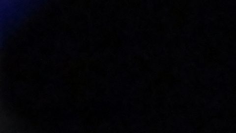 Alexa Grasso y Valentina Shevchenko.