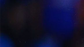 Jugadores del América en lamento.