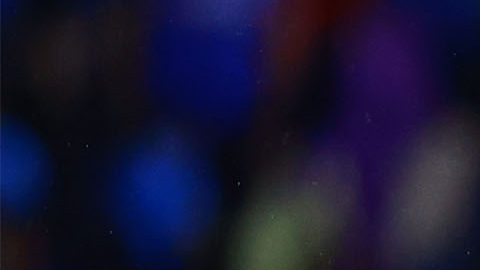 Jugadores del América en lamento.