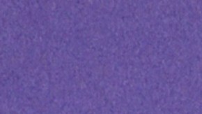 Ana Jurka, periodista deportiva.