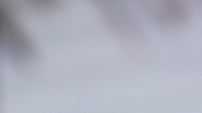 Ana Patricia Gámez.